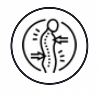 Improves posture for a more sculpted look